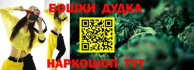 индика Аргун