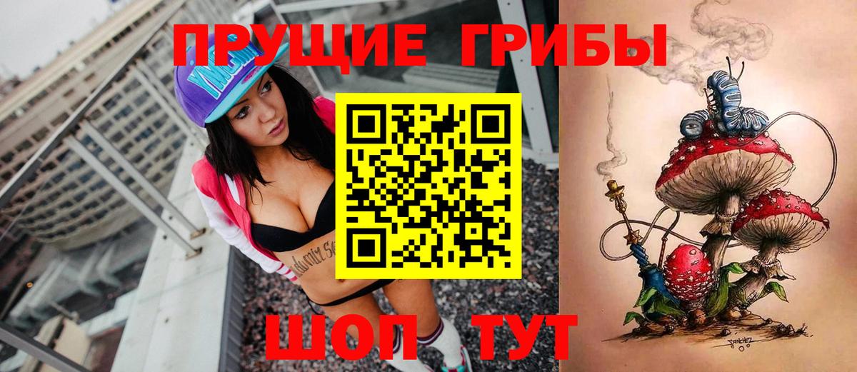 Псилоцибиновые грибы прущие грибы Камень-на-Оби