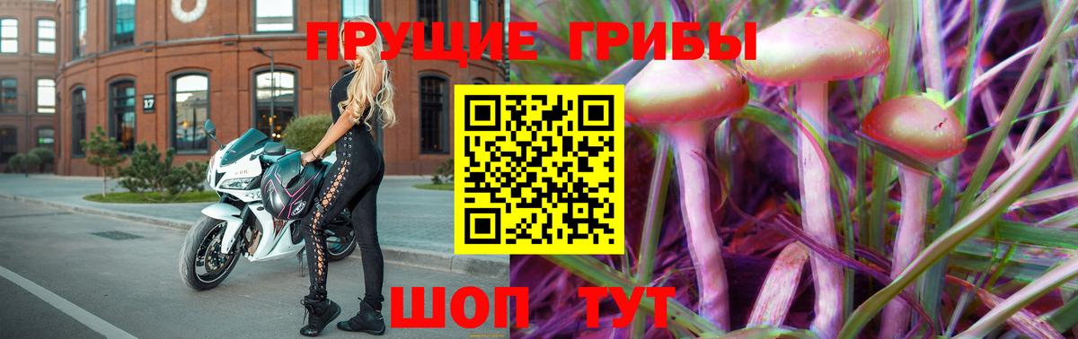 Галлюциногенные грибы Magic Shrooms  Камень-на-Оби  Галлюциногенные грибы GOLDEN TEACHER 