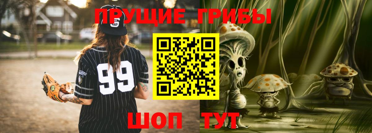 Камень-на-Оби  цена наркотик  Псилоцибиновые грибы MAGIC MUSHROOMS  Вход с VPN  Псилоцибиновые грибы Magic Shrooms 