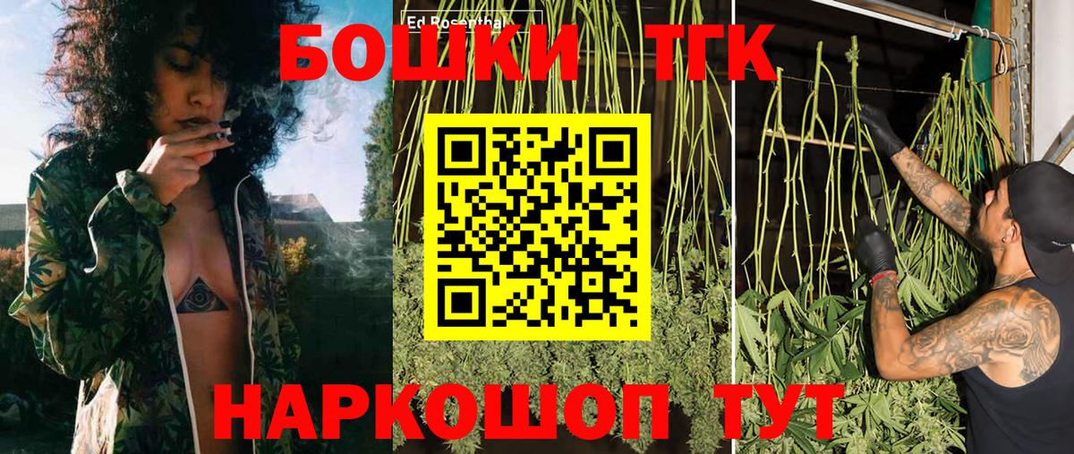 APVP Камень-на-Оби